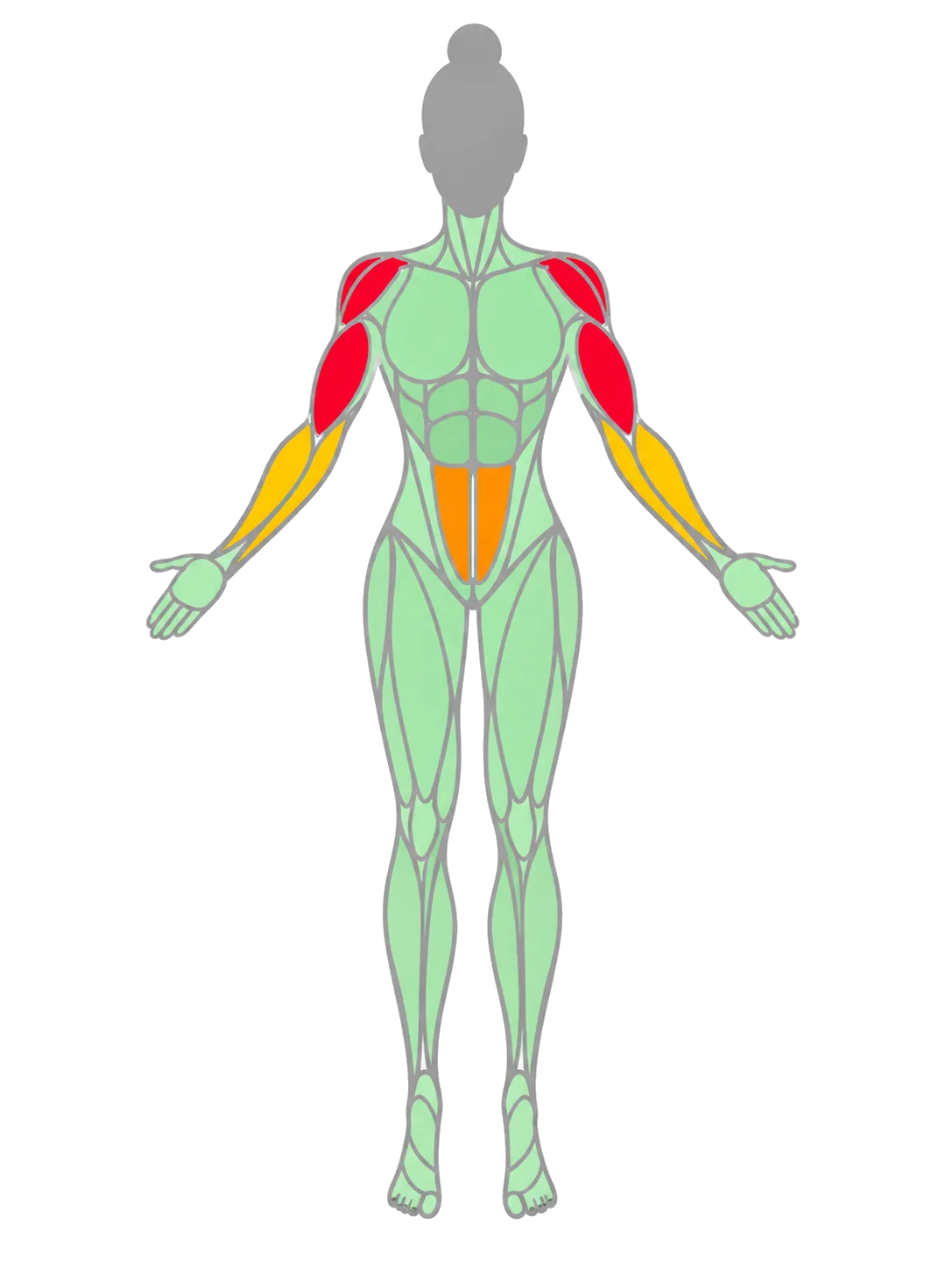 muscle load map