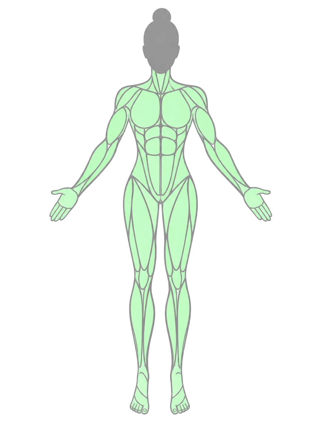 body map